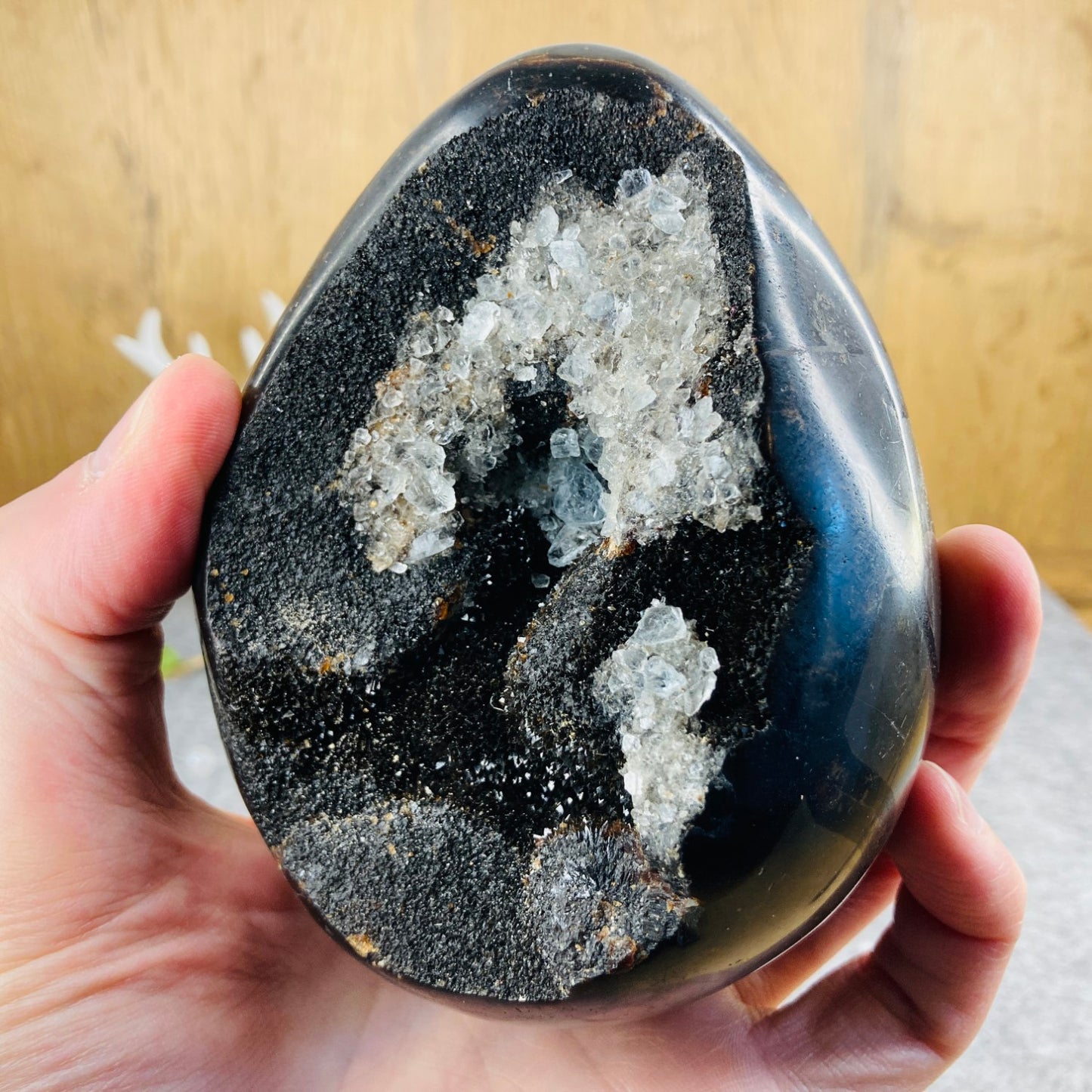 Septarian - Egg #01