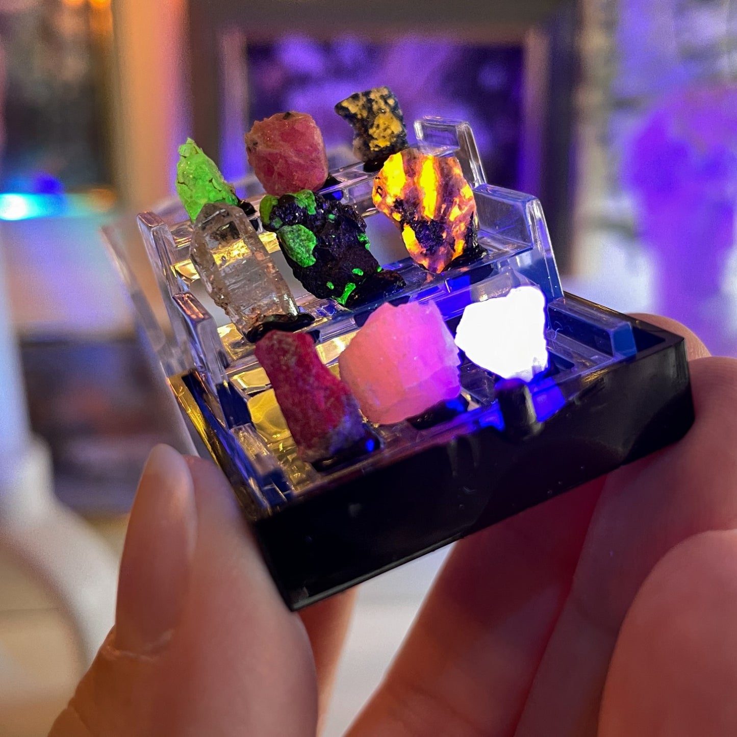 UV reactive specimens