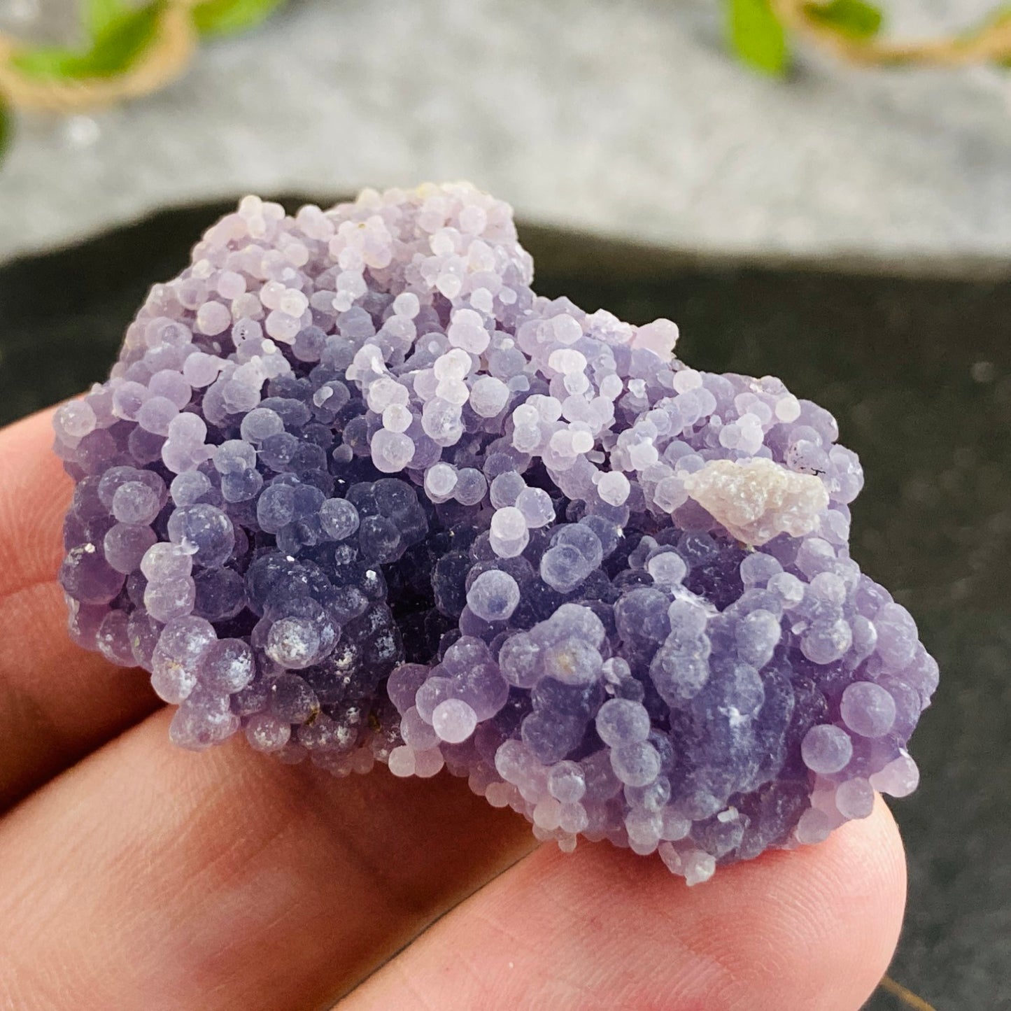 Grape Agate