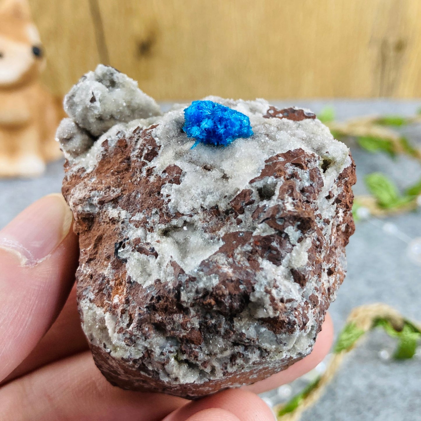 Cavansite on Matrix #01