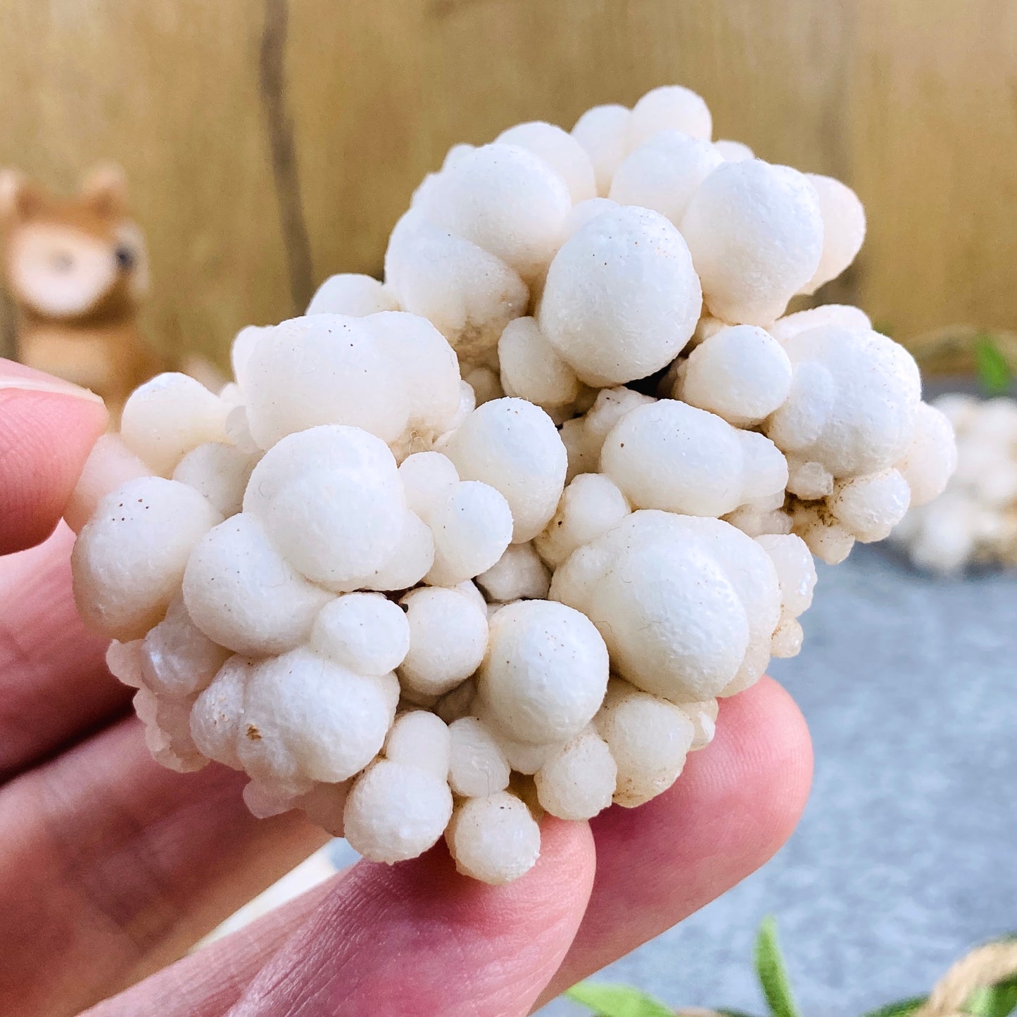 Aragonite with Calcite - Botryoidal