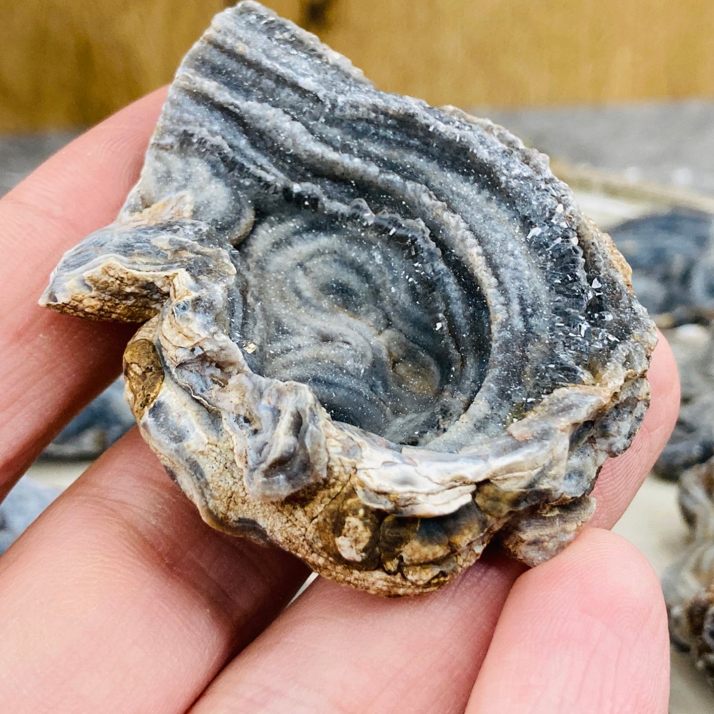 Chalcedony - Rosette (large)
