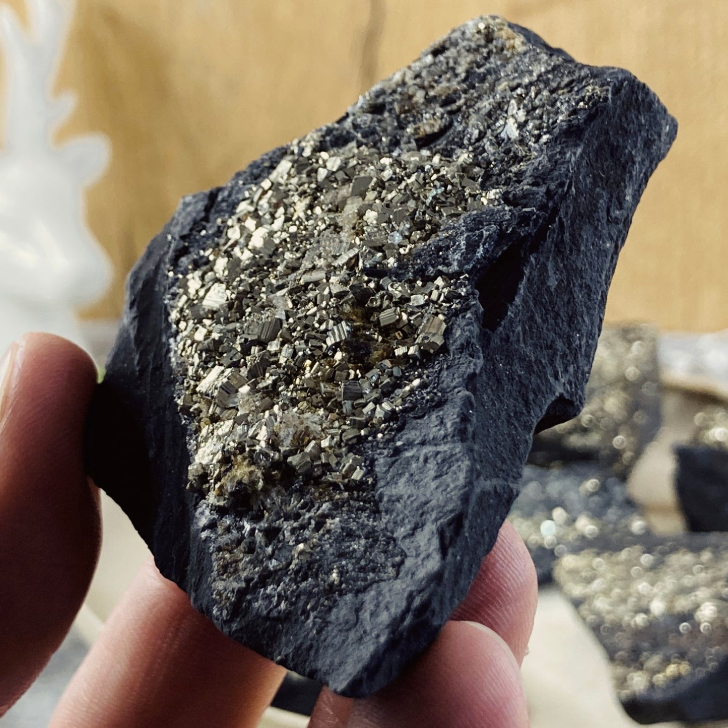 Shungit with Pyrite