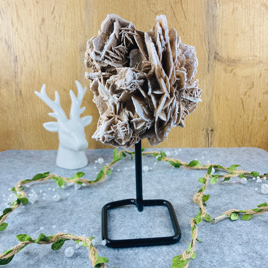 Desert Rose on Stand #01