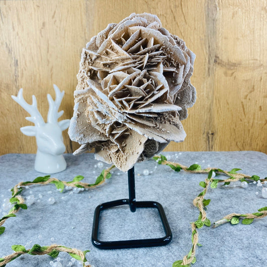 Desert Rose on Stand #02