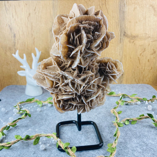 Desert Rose on Stand #03
