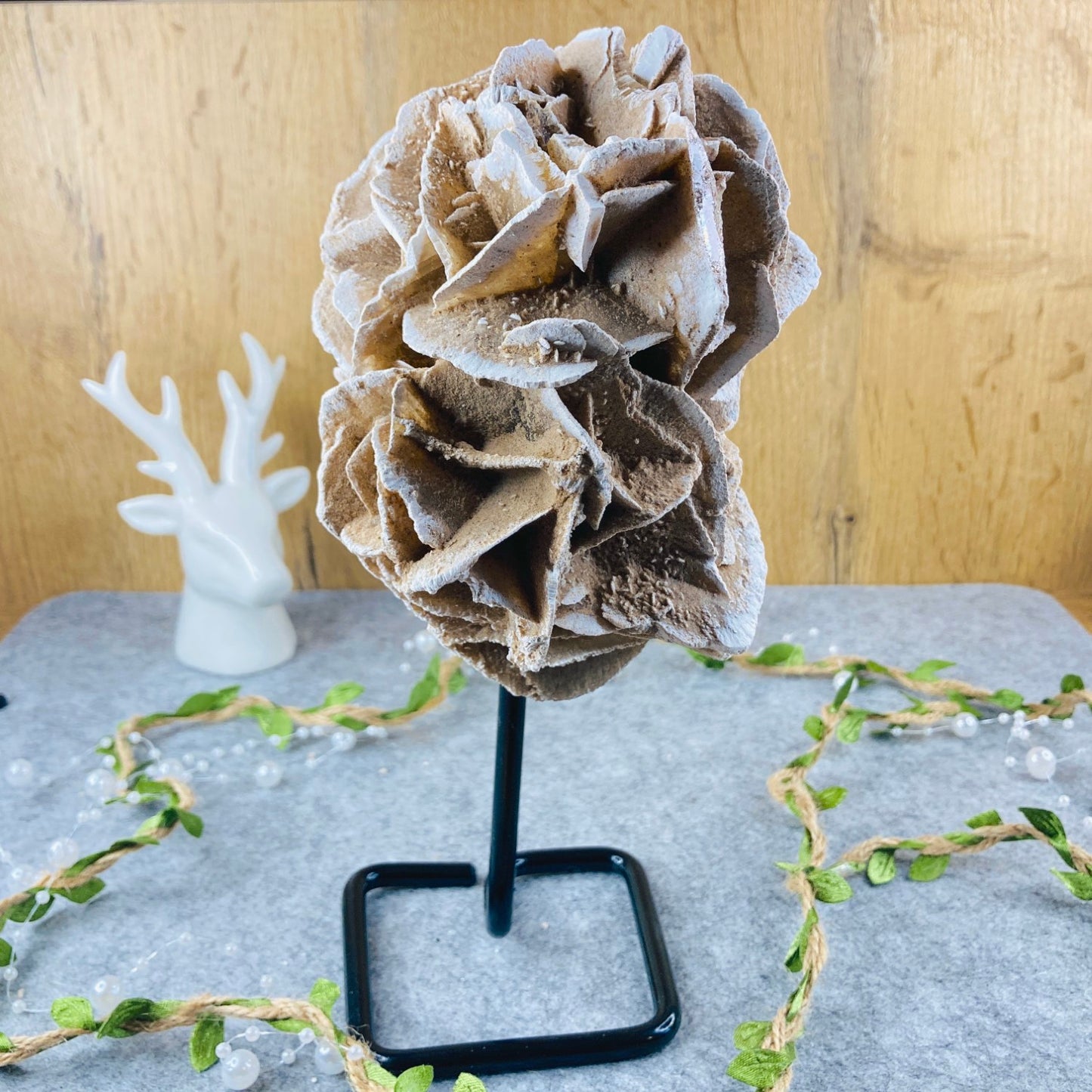 Desert Rose on Stand #04