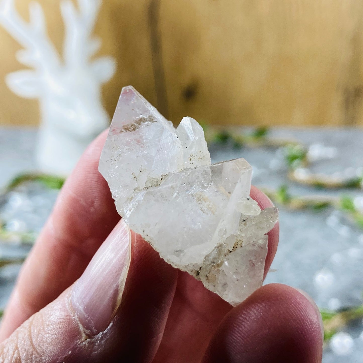 Apophyllite