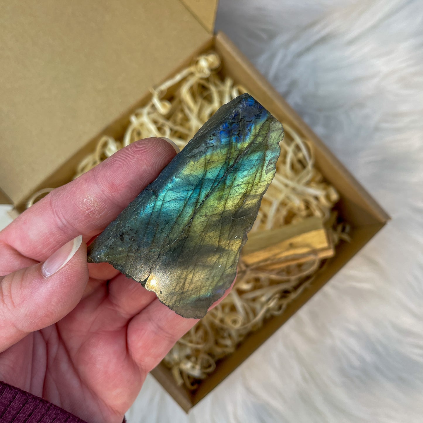 Gift Box - Transformation