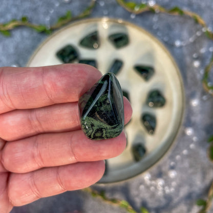 Kambaba Jasper - Tumbled