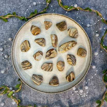 Picture Jasper - Tumbled