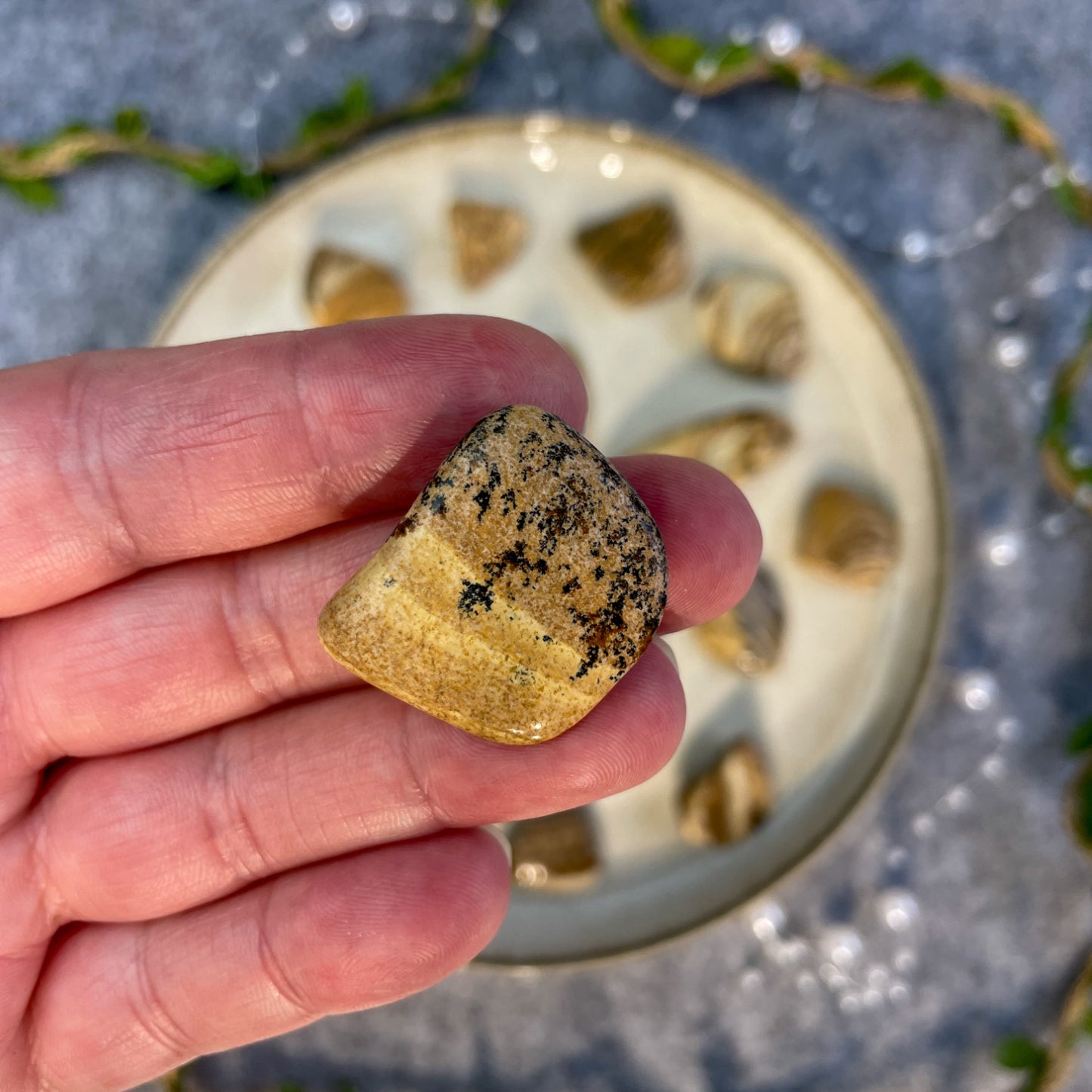 Picture Jasper - Tumbled