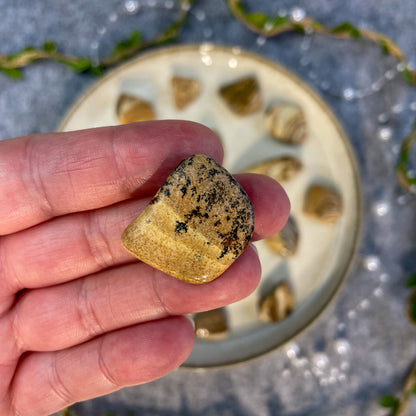 Picture Jasper - Tumbled