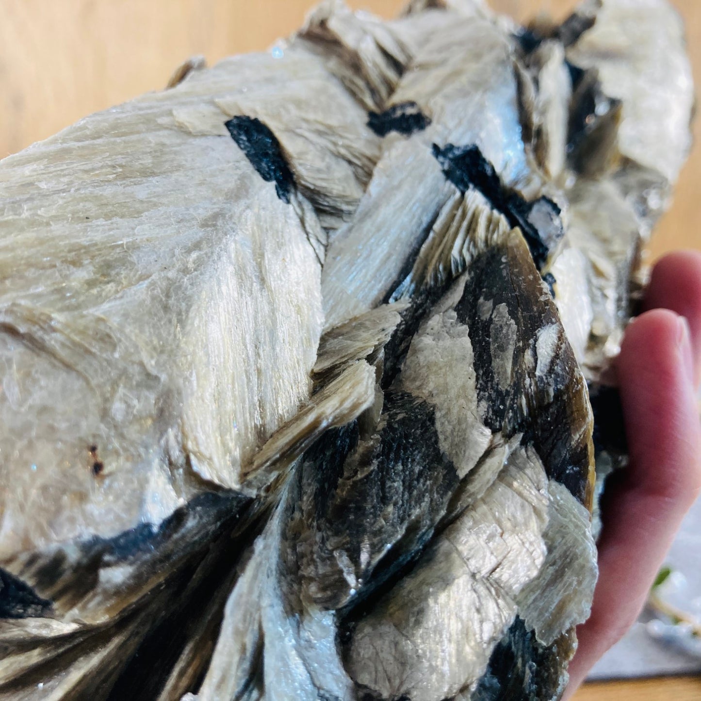 Muscovite with Tourmaline (2.6 kg)