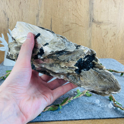 Muscovite with Tourmaline (2.6 kg)