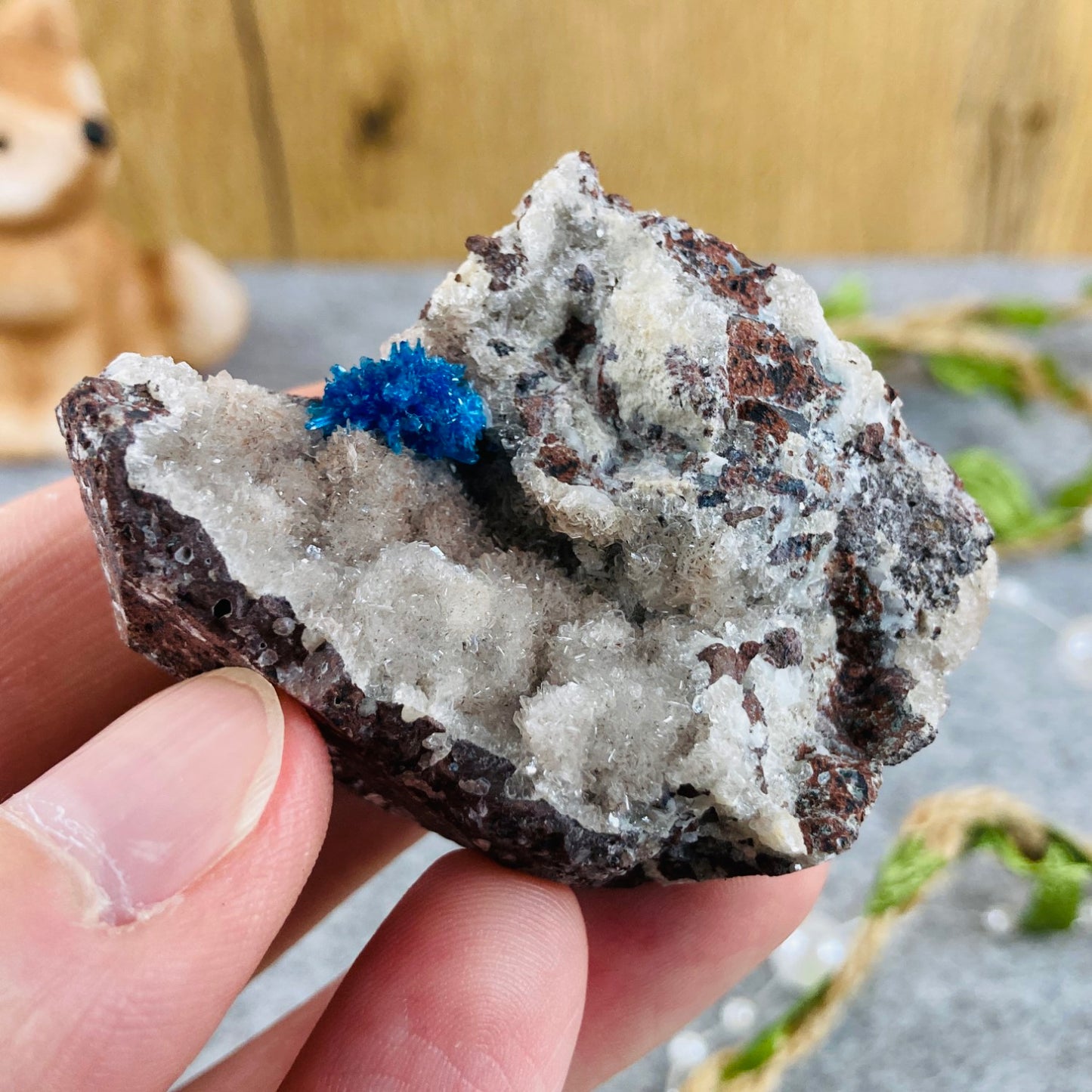 Cavansite on Matrix #02